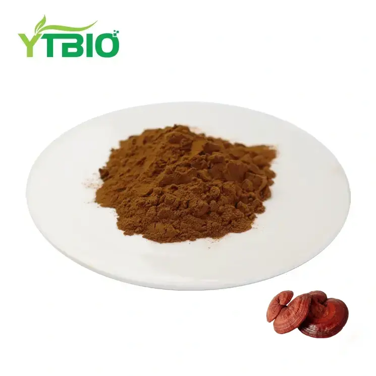 How Does Ganoderma Lucidum Extract Improve Immune Response? How Does Ganoderma Lucidum Extract Improve Immune Response?